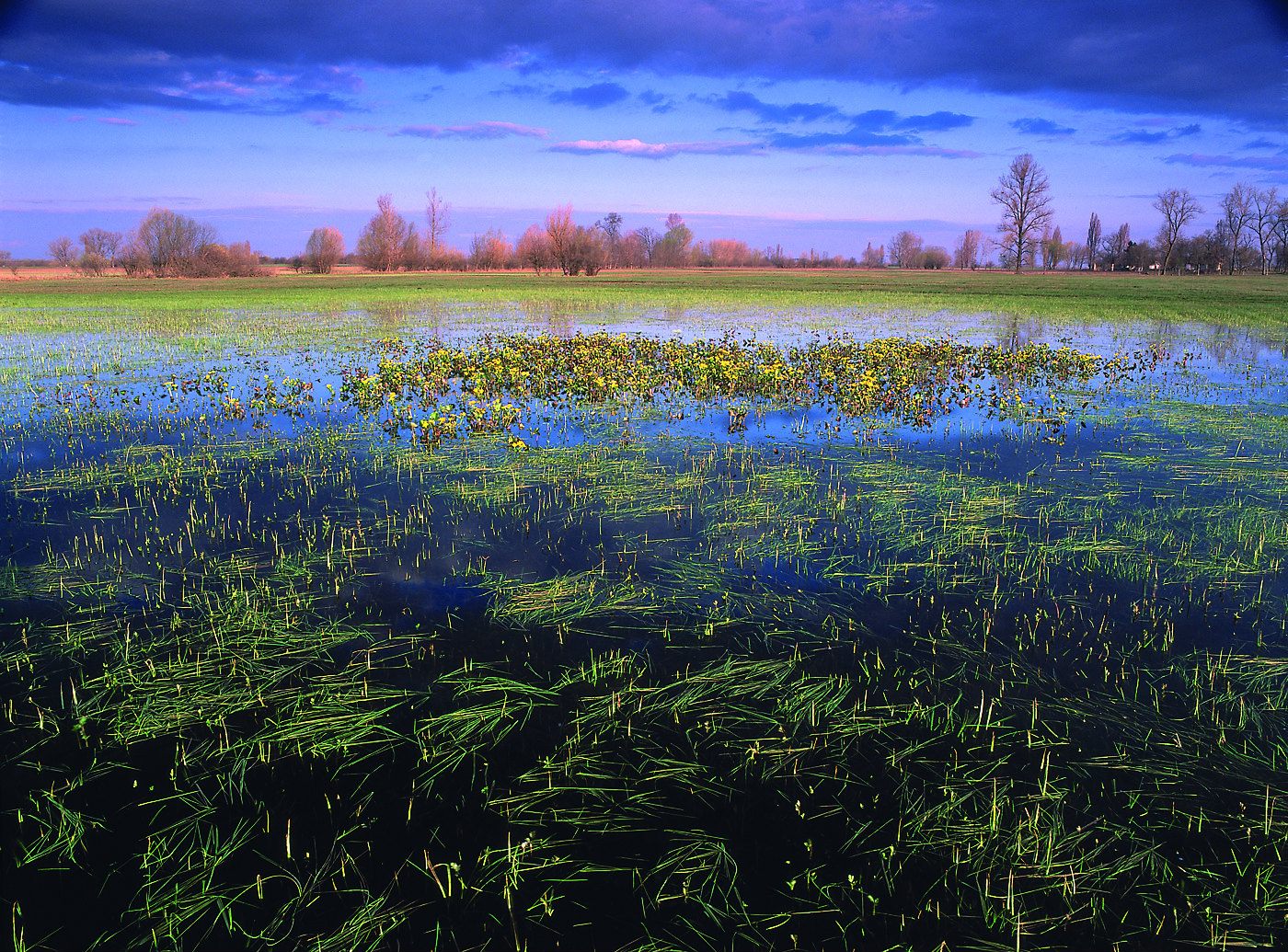 Ipoly-völgy, Fotó: MolnárPéter