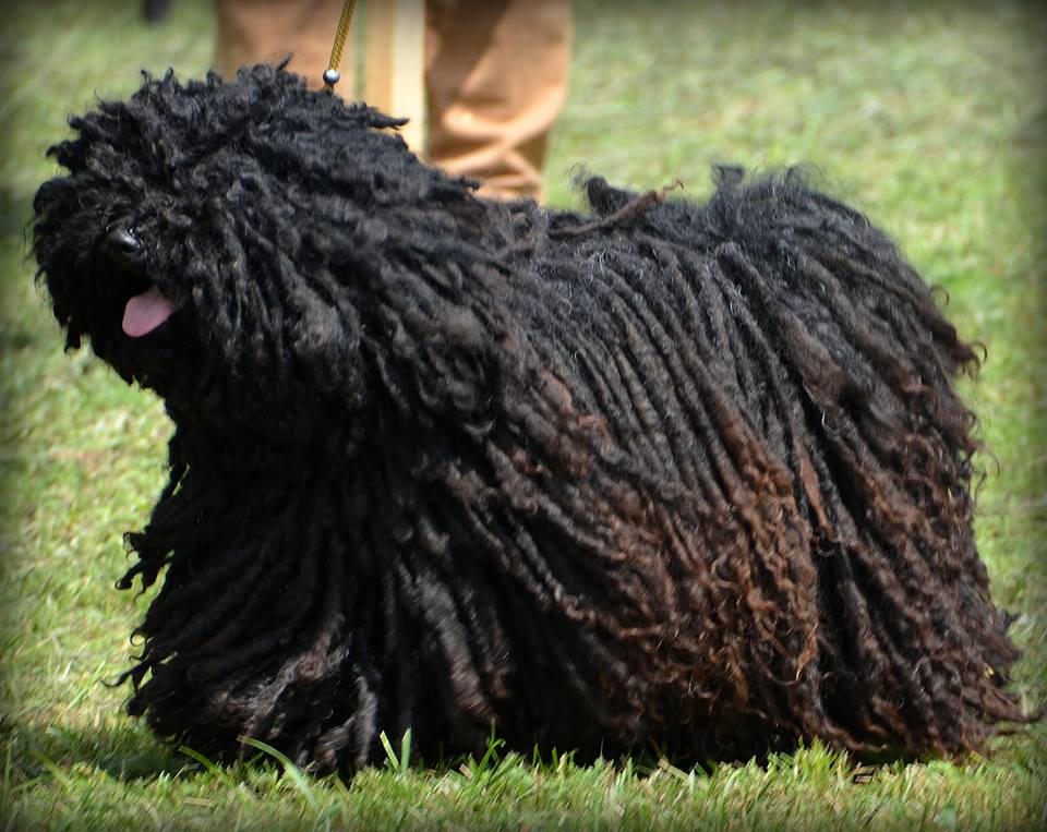 L M Lujzi mozgásban